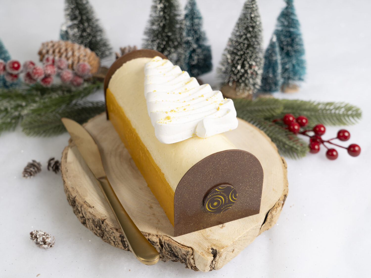 Bûche glacée exotique/vanille