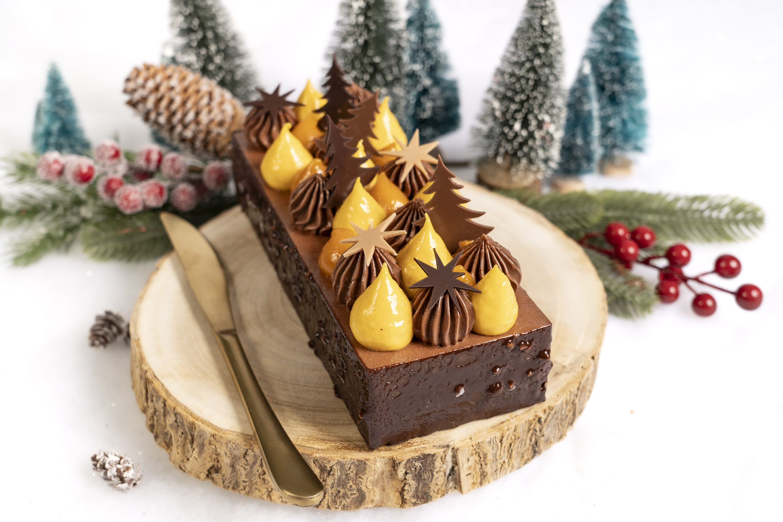 Bûche chocolat mangue