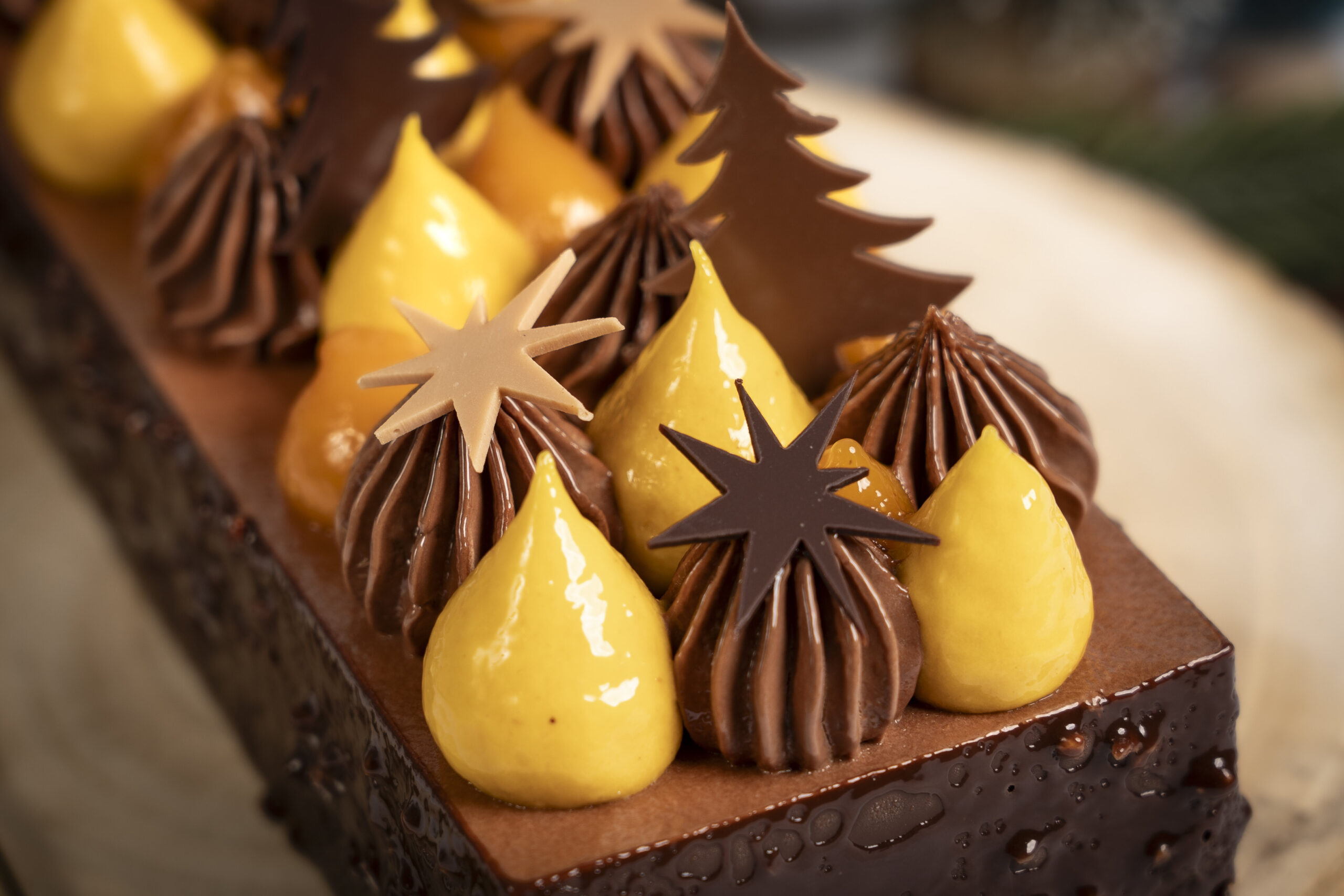 Bûche chocolat mangue – Image 2