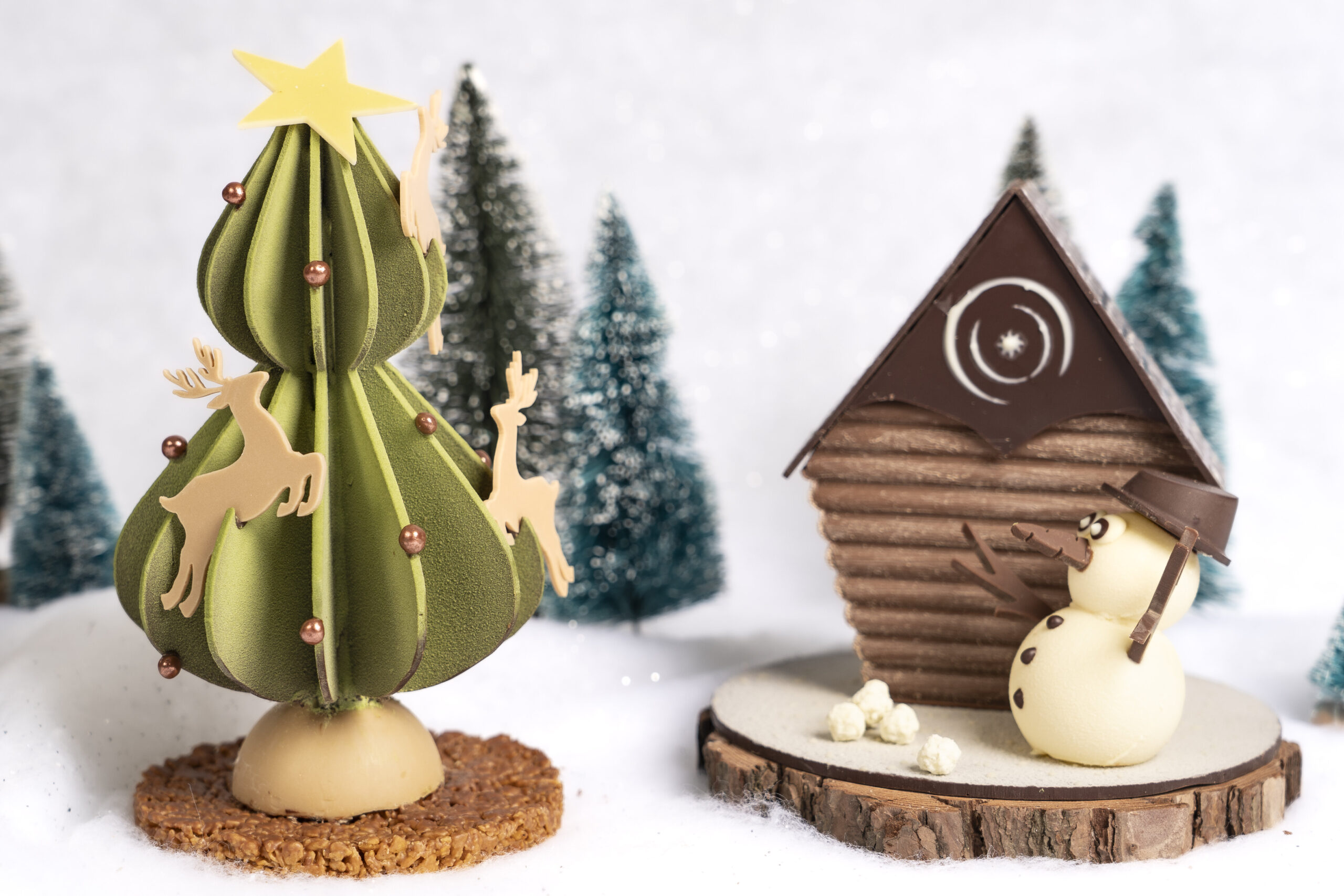 Le chalet de montagne – Image 2